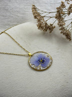 Amor Perfeito de Ouro